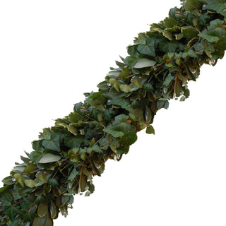 Fresh Handmade Garland - Variegated Pittosporum & Green Ivy