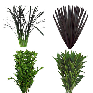 Assorted Cocculus, Viburnium, Lily Grass & Purple Flax Combo Box