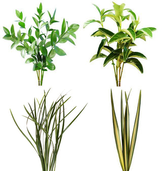 Assorted Variegated Flax, Variegated Lily Grass, Viburnum, Green Flax & Ruscus Combo Box