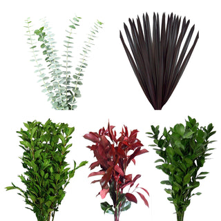 Assorted Ruscus, Eucaliptus, Viburnium, Purple Flax & Photinia Combo Box