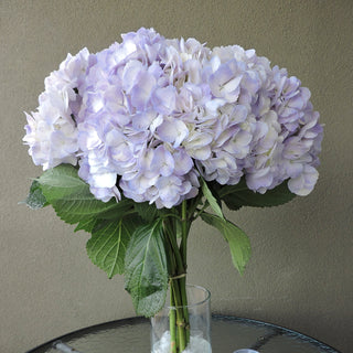 Lavender Hydrangeas