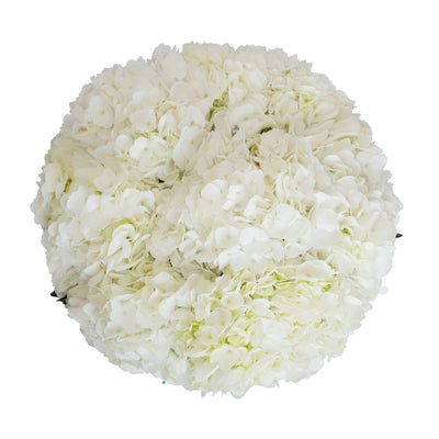 White Natural Hydrangeas – Bloomingmore