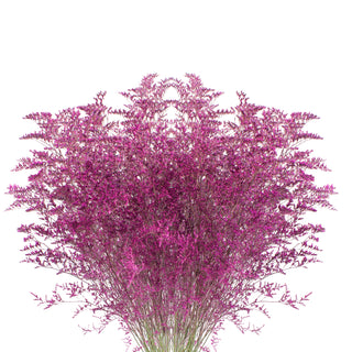 Hot Pink Tinted Limonium - 15 Bunches