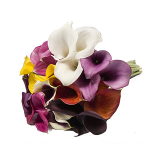 Assorted Colors Mini Calla Lilies