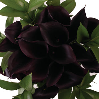 Dark Elegance Mini Calla Bouquet
