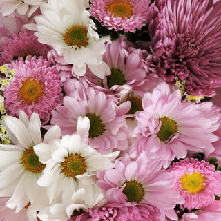 White, pink, and lavender flowers