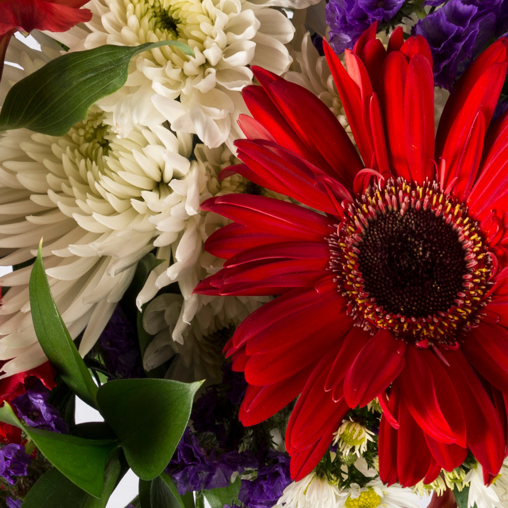Red gerbera and white spider mum bouquet