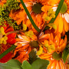Orange daisies 
