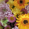 Spider mums, daisies and gerberas 