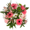 Pink, white, and green flower bouquet