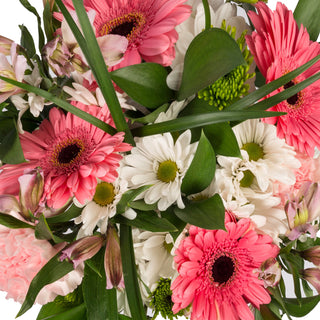 Pink gerberas and white daisies