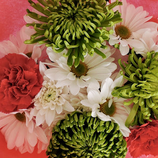 White daisies, red carnations and green painted spider mums bouquet