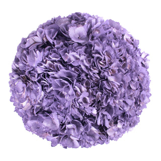 Lavender Painted Hydrangeas