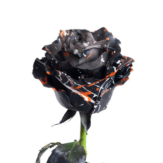 Darkness Confetti Painted Roses