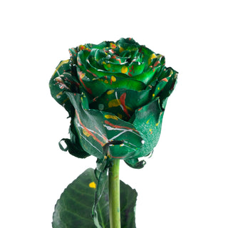 Jasper Confetti Painted Roses