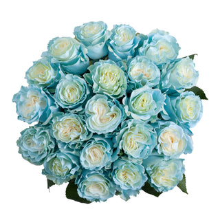 Light Blue Painted Roses