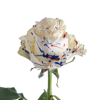 Firework Confetti Painted Roses
