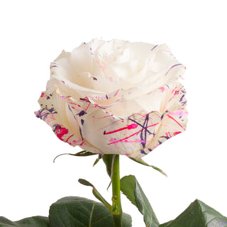 Ice Cream Confetti Painted Roses