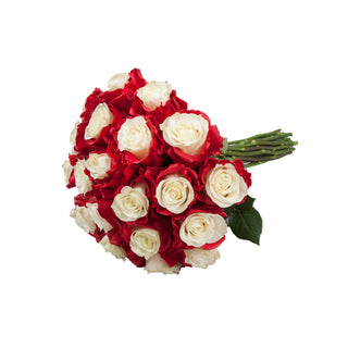 Marshmallow White & Red Painted Roses
