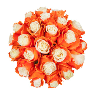 Marshmallow White & Orange Painted Roses