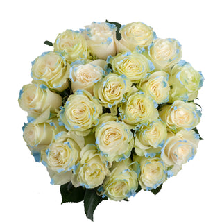 Neige Claire Painted Roses