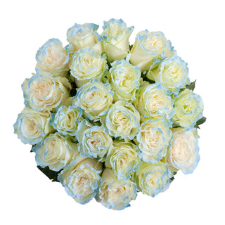 Neige Blue Painted Roses