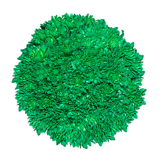 Green Tinted Pompom Cushion
