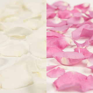 White and Lavender Rose Petals