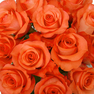 Dozen Assorted Colors Roses Bouquet - pack 18