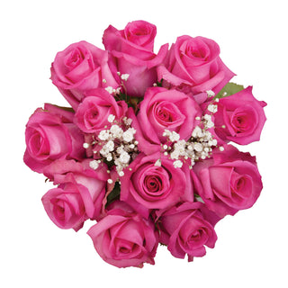 Dozen Hot Pink Roses Bouquet - pack 18