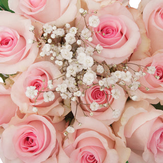 Dozen Pink Roses Bouquet - pack 18