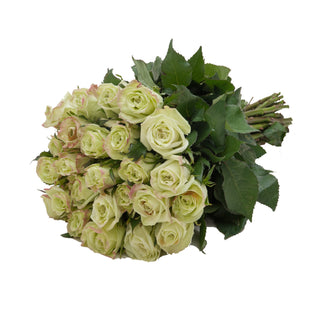 Roses 50 Stems of White Farm Direct Fresh Cut Flowers with Hand Painted  Gold Glitter on the Bloom Tips by Bloomingmore