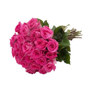 24 Farm Fresh Hot Pink Roses Gift
