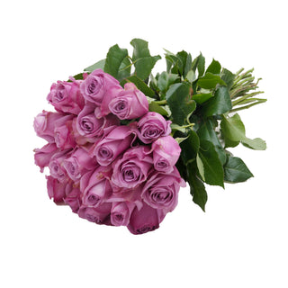 24 Farm Fresh Lavender Roses Gift