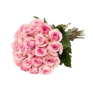 24 Farm Fresh Pink Roses Gift