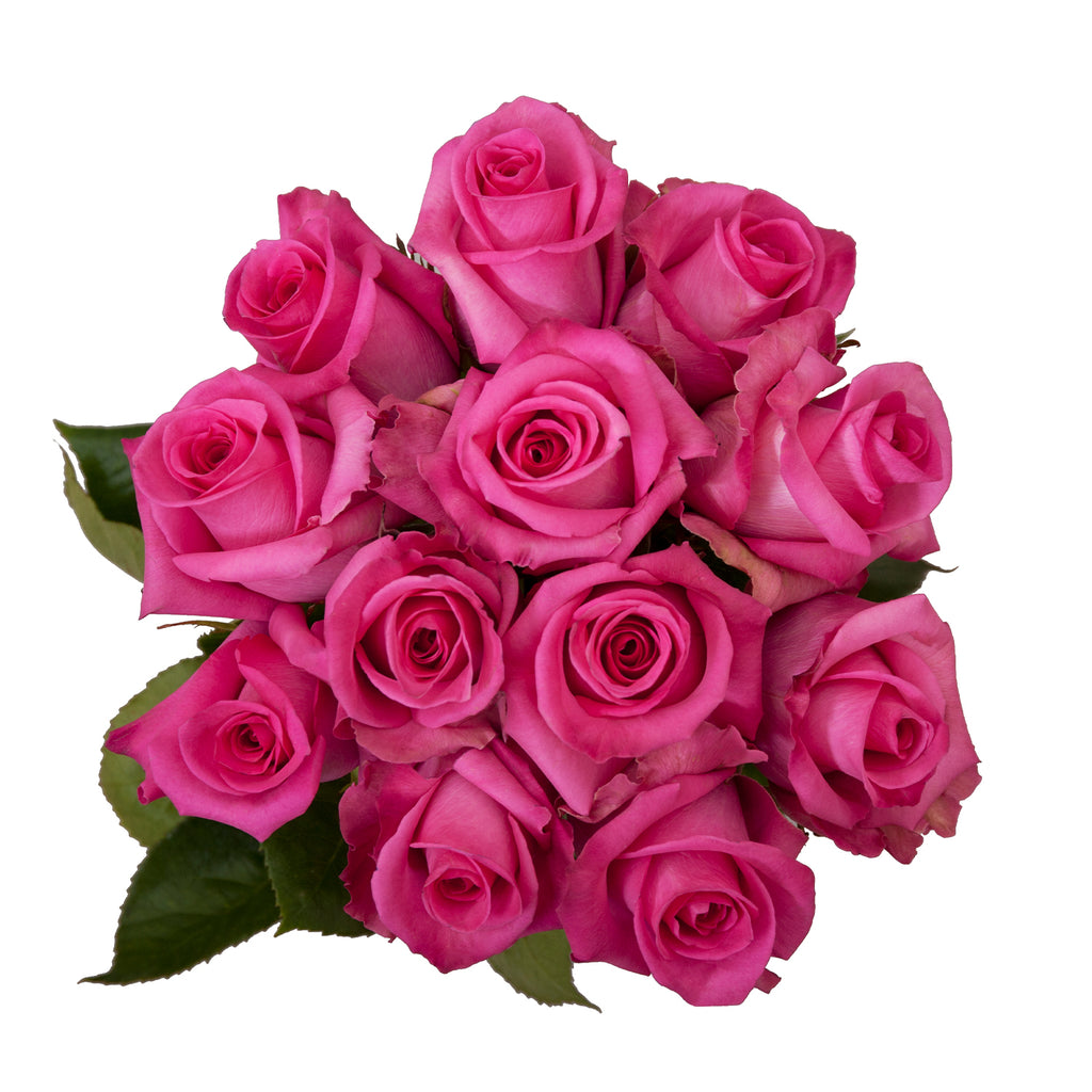 Farm Fresh Dozen Roses Basic Needs – Bloomingmore