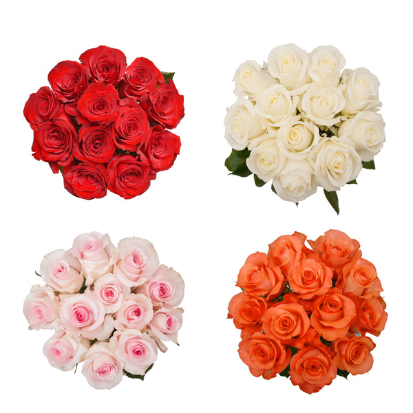 Red Roses with Silver Glitter  Premium Wholesale Flowers – Bloomingmore