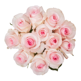 Farm Fresh Dozen Light Pink & White Roses Wedding Pack