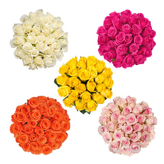 Assorted Roses - Choose From 50 to 200 Stems