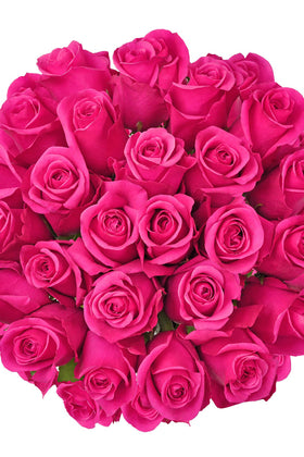 Hot Pink Premium Roses | Premium Wholesale Flowers – Bloomingmore