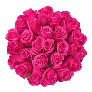 Hot Pink Roses - Choose from 25 to 200 Stems