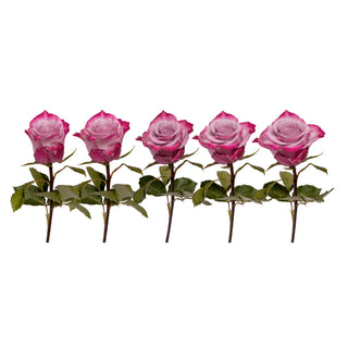 Lavender Roses - Choose from 25 to 200 Stems