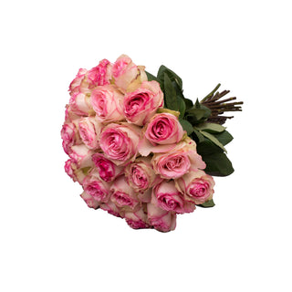 Pink & White Novelty Roses