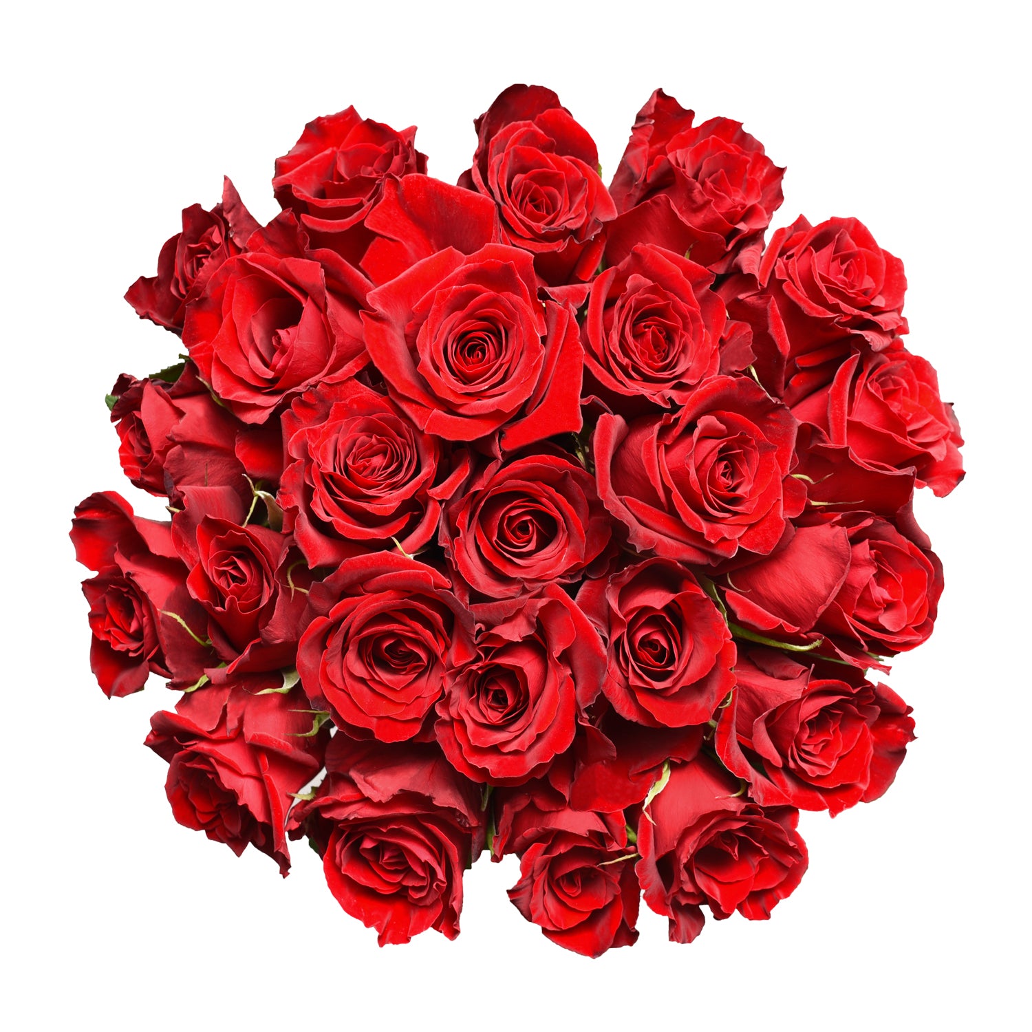 50 Stem Red Roses by Arabella Bouquets bulk Fresh Cut Flowers 