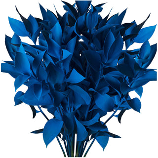 Blue Painted Ruscus