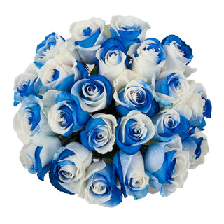 Blue & White Tinted Roses