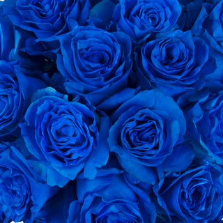 Blue Tinted Roses