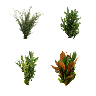 Basic Holiday combo Green flowers - fresh-cut flowers by Bloomingmore - ideal for weddings and floral events