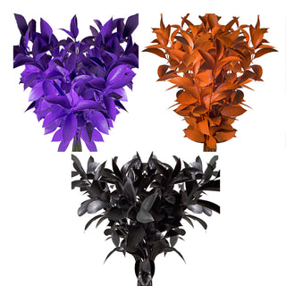 Black, Orange & Purple Assorted Painted Ruscus Orange flowers - fresh-cut flowers by Bloomingmore - ideal for weddings and floral events