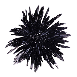 Black Painted Anastasia Spider Mums Black flowers - fresh-cut flowers by Bloomingmore - ideal for weddings and floral events